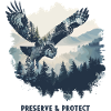 Bevar og beskyt ugle ugle fugleskov natur