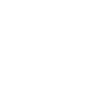 Bully - Dog Fan