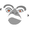Angry and determined monkey face