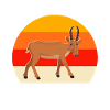 Funny Saiga Antelope Sayings