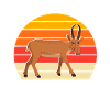 Saiga Antelope Saying