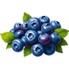 Blueberries