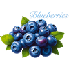 Blueberries