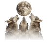 Alaskan Malamute Dog Howling Moon