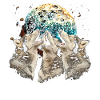 Alaskan Malamute Dog Howling Moon