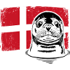 Phoque Danemark Animaux Vacances Wilsigns