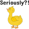 Seriously Duckling