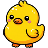 Duckling Duck Duck Duck