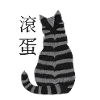 Chat rayé