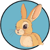 Bunny Bunny Hoppelhase
