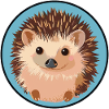 Hedgehog Porcupine Autumn