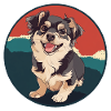Dog Dogs Border Collie