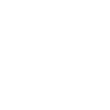 Foxterrier Fox Terrier