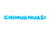 Chihuahua