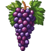 Grapes Pixel