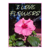 Blume i love flowers