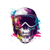 Ski Skull Ski Goggles