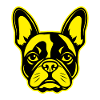 French Bulldog Dog Portrait