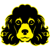Poodle Dog Animal Portrait