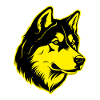 Akita Dog Animal Portrait