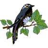 Bunter Vogel