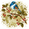Bunter Vogel