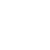 Jiu Jitsu