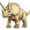 Triceratops