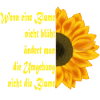 Sunflower meets text art