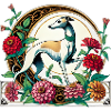 Whippet