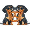 Grævlingehunde med kringler