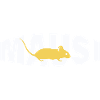 MAUSI