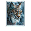 Lynx Luchse Luchs