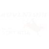 RODEO ADVENTURE