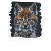 Lynx Luchse Luchs