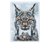 Lynx Luchse Luchs
