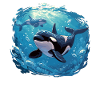 Orcas Orca