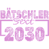 Bachelor 2030