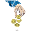 Coin Collector Definition Numismatics