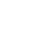 !false Meme