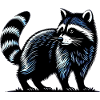 Raccoon
