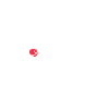 Taekwondo