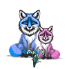 renard renards enfant enfants
