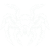 spinne