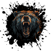 Bear Portrait Grizzly