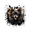 Pomeranian Dog Portrait