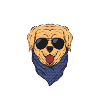 Golden Retriever Squad