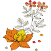 Vrille de fleur