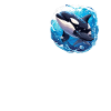 Orcas Orca