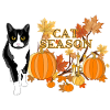 Saison des chats effrayants
